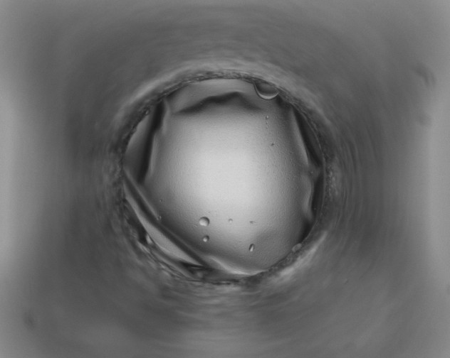 X0000113001494200909101745