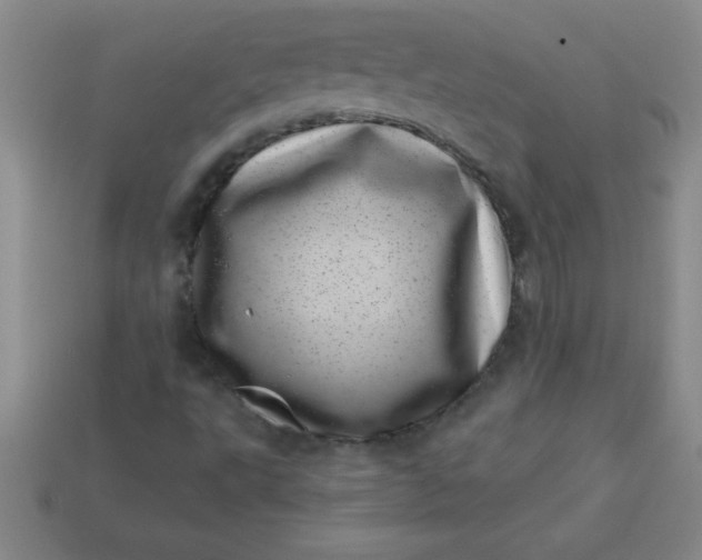 X0000113001495200909101745