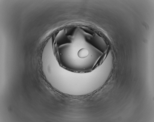 X0000113001496200909101745