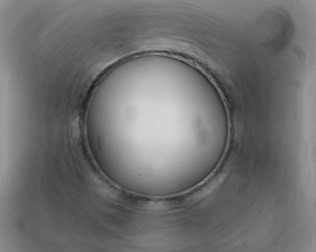 X0000113001497200909101745