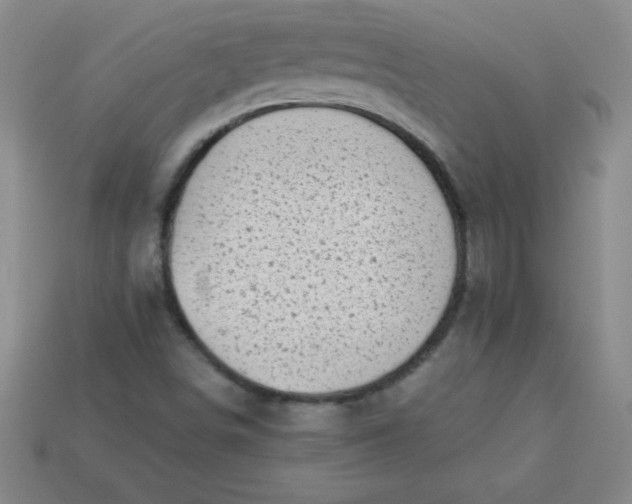 X0000113001498200909101745