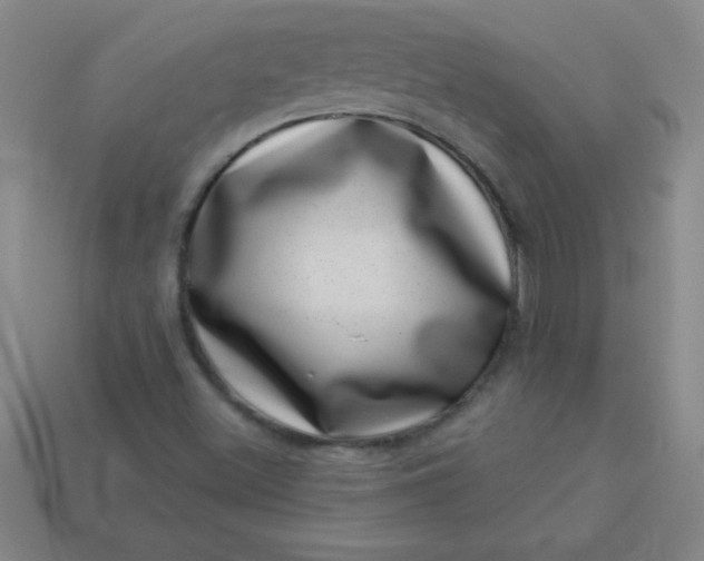 X0000113001500200909101745