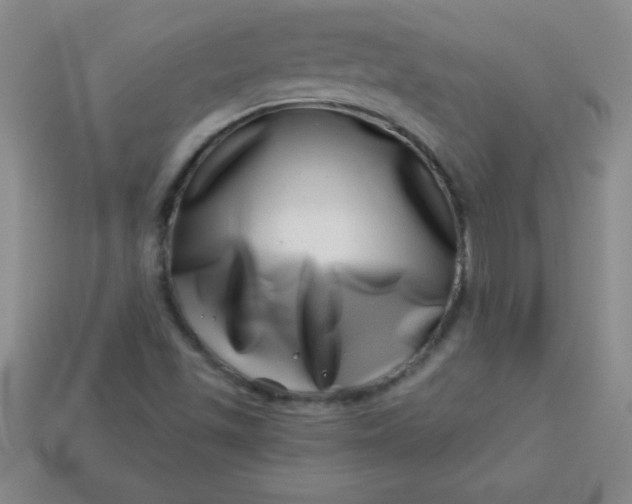 X0000113001501200909101745