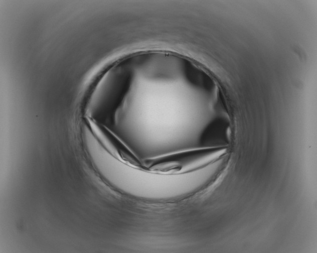 X0000113001502200909101745