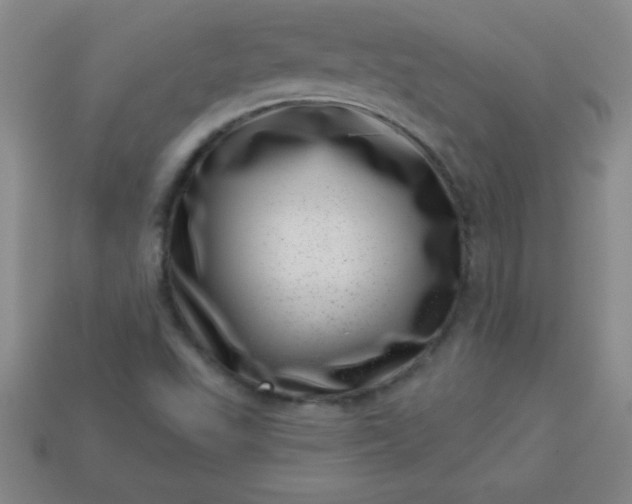 X0000113001503200909101745