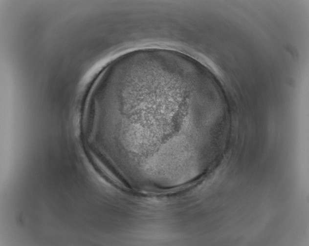 X0000113001504200909101745