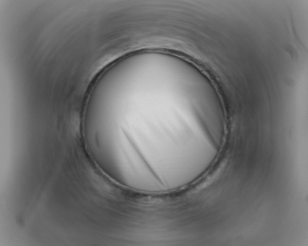 X0000113001505200909101745