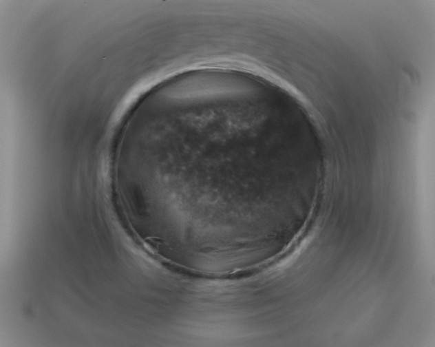 X0000113001506200909101745