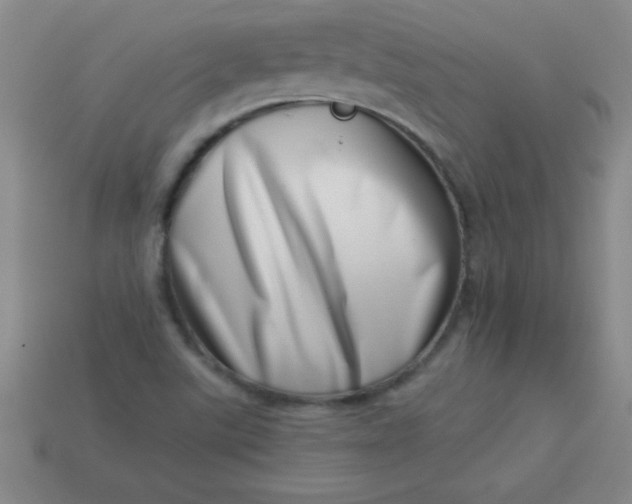 X0000113001507200909101745