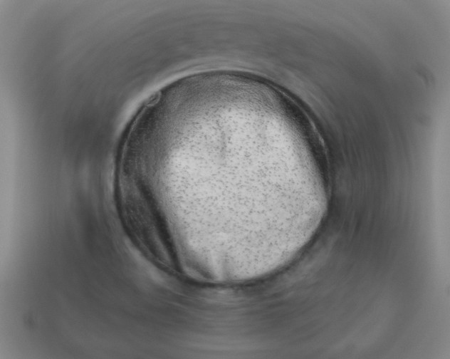 X0000113001508200909101745