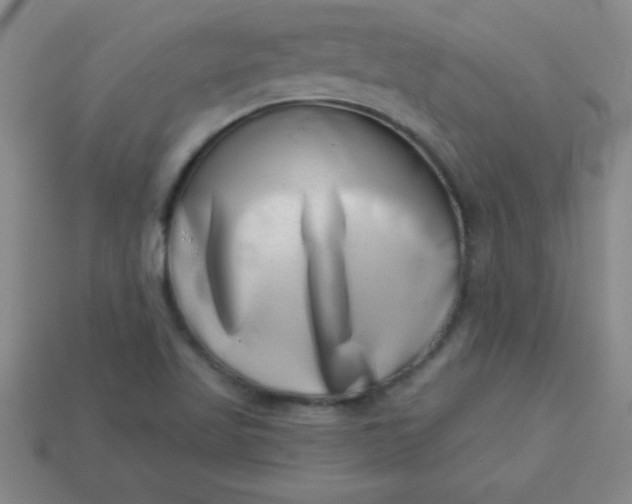 X0000113001509200909101745