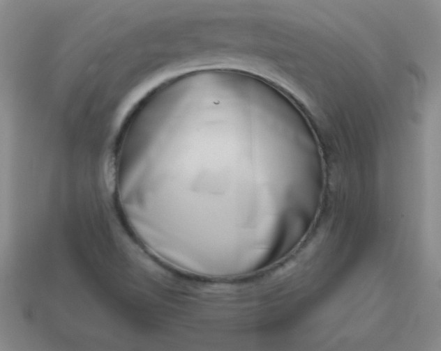 X0000113001510200909101745