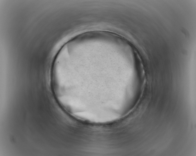 X0000113001512200909101745