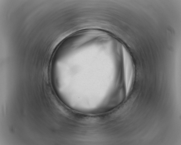 X0000113001513200909101745