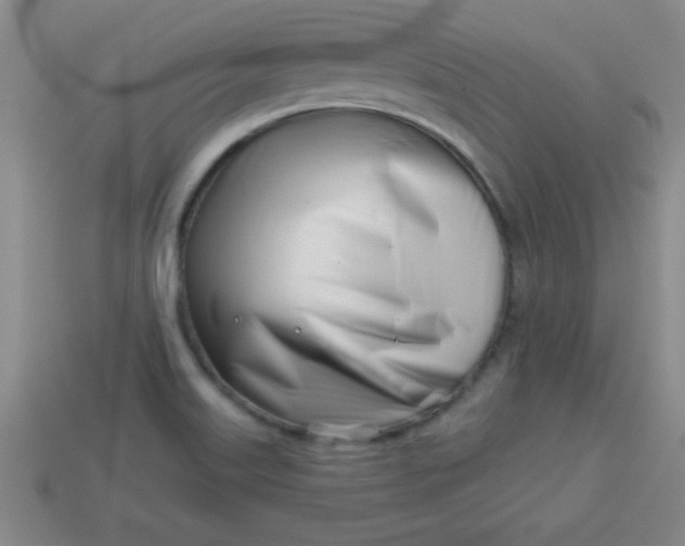 X0000113001515200909101745