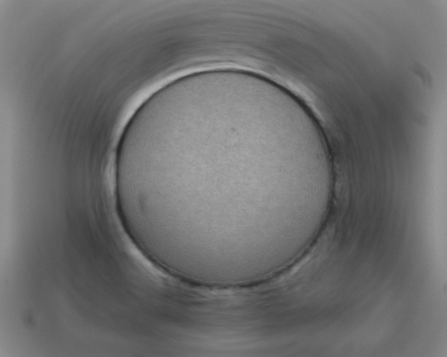 X0000113001516200909101745