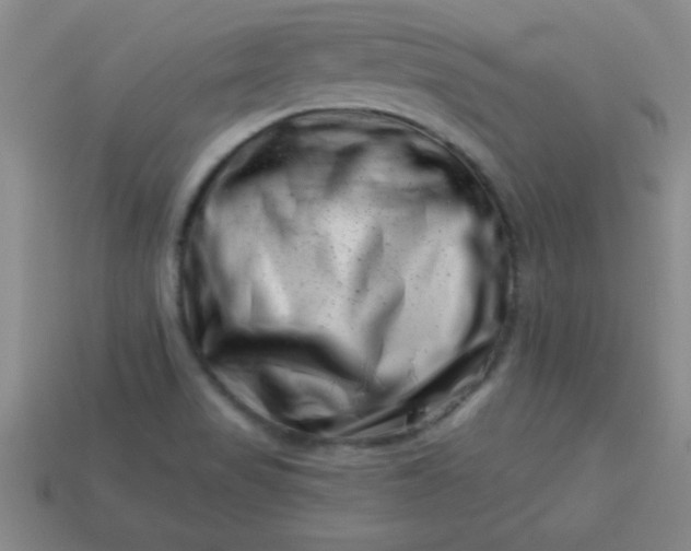 X0000113001517200909101745