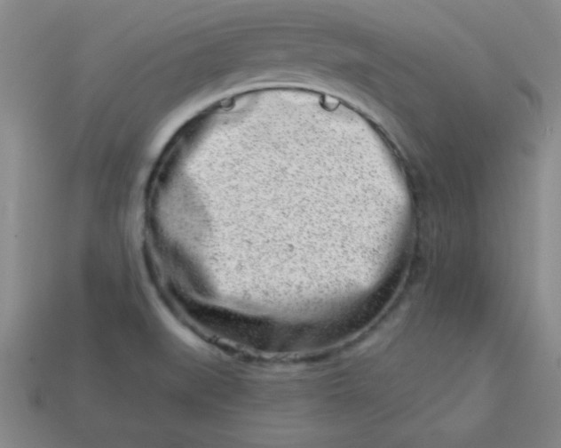 X0000113001519200909101745