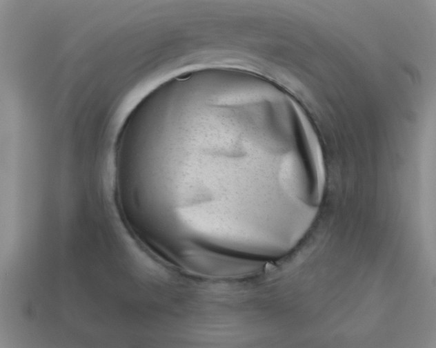 X0000113001520200909101745