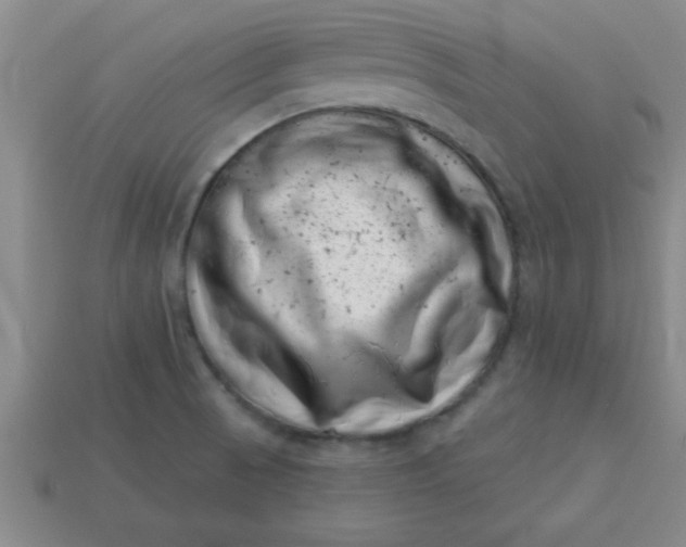 X0000113001521200909101745