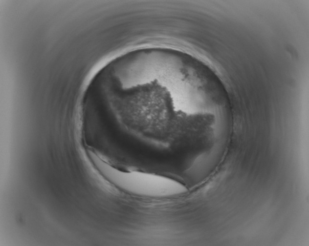 X0000113001522200909101745