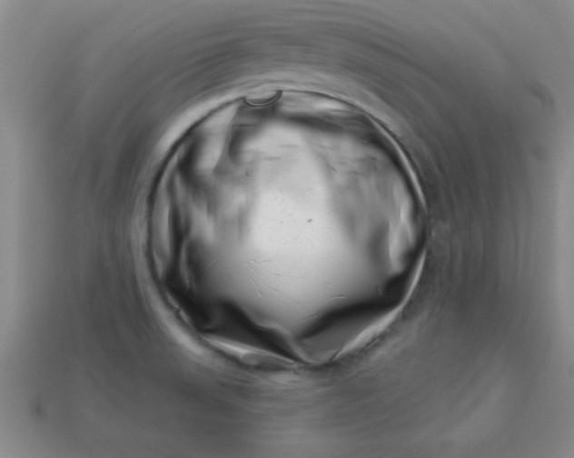 X0000113001523200909101745