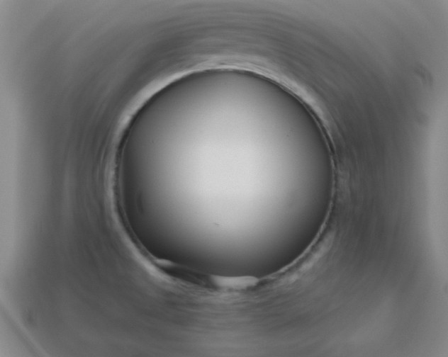 X0000113001525200909101745