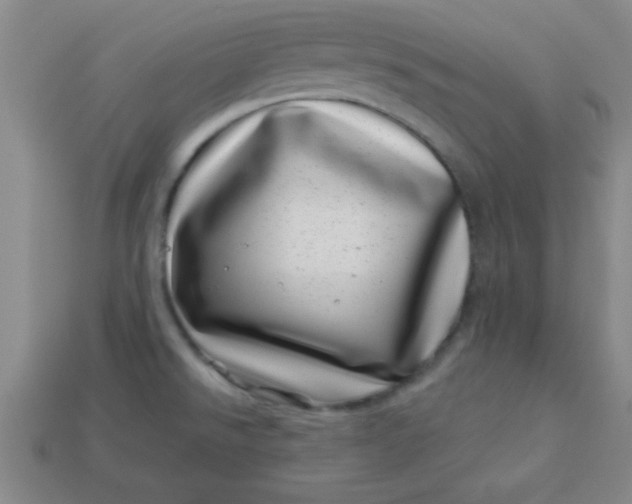 X0000113001526200909101745