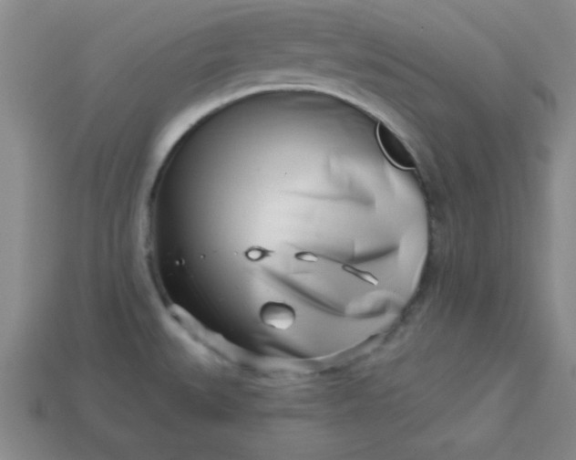 X0000113001527200909101745