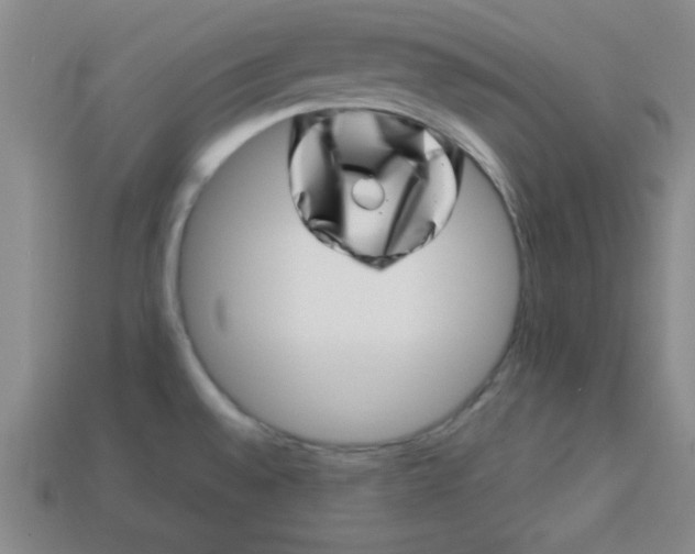 X0000113001528200909101745