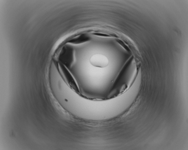 X0000113001530200909101745