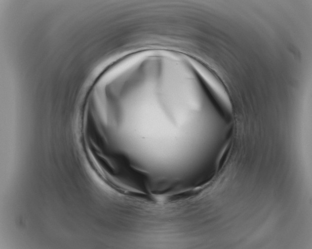 X0000113001531200909101745