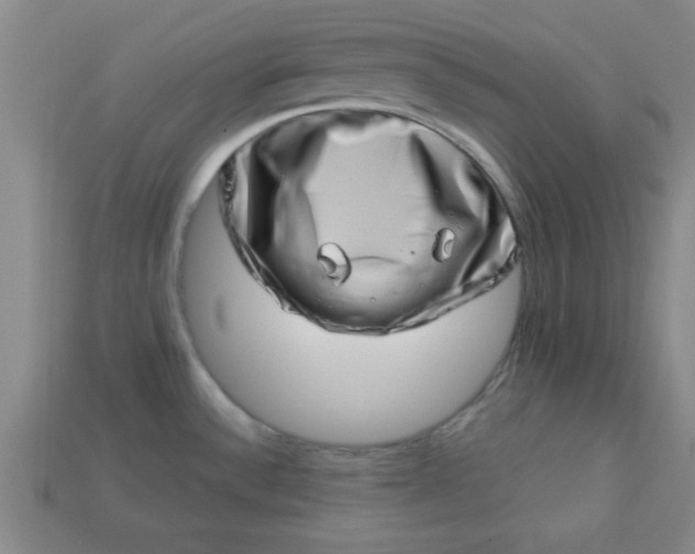 X0000113001532200909101745