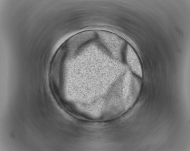 X0000113001533200909101745