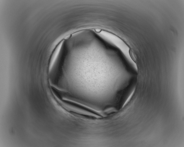 X0000113001534200909101745