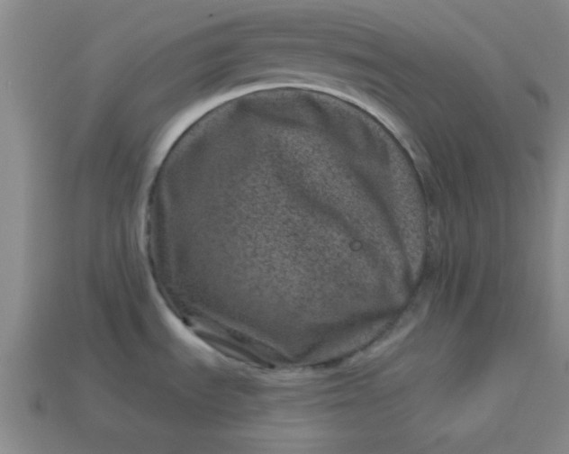 X0000113001535200909101745