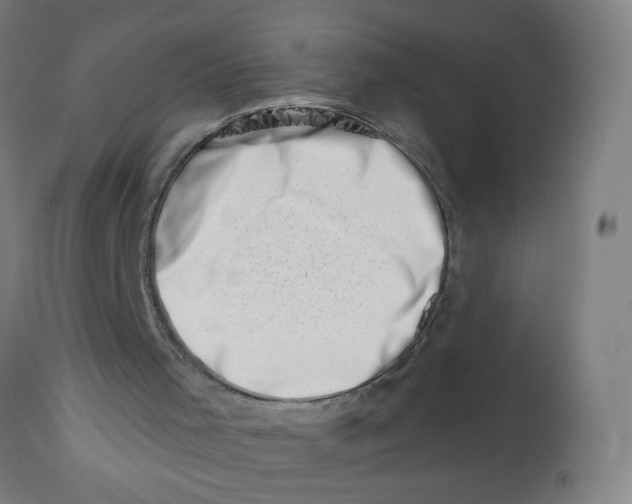 X0000113000001200909171417