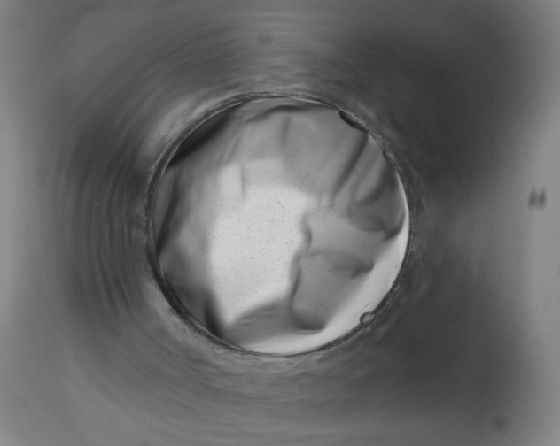 X0000113000002200909171417