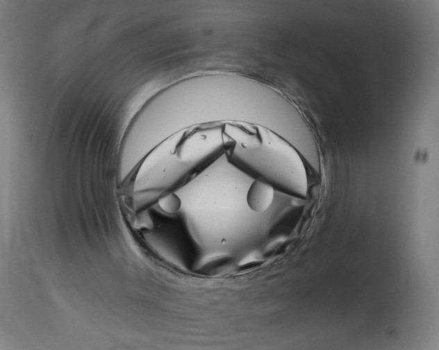 X0000113000003200909171417