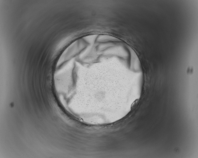 X0000113000005200909171417