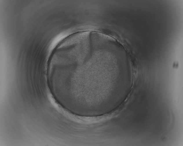 X0000113000006200909171417