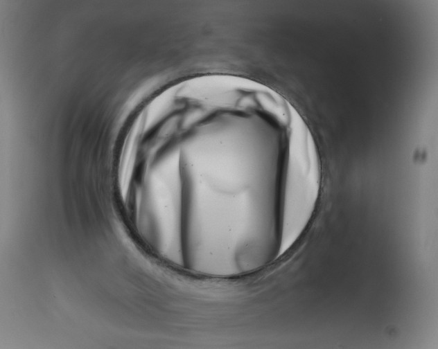 X0000113000008200909171417