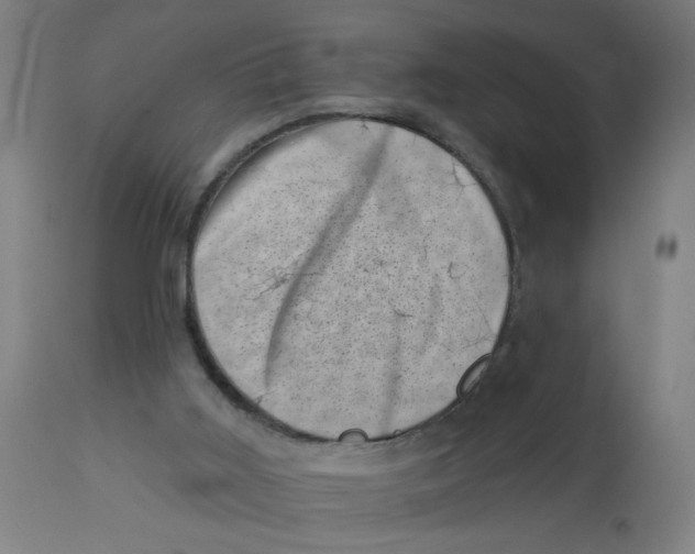 X0000113000011200909171417