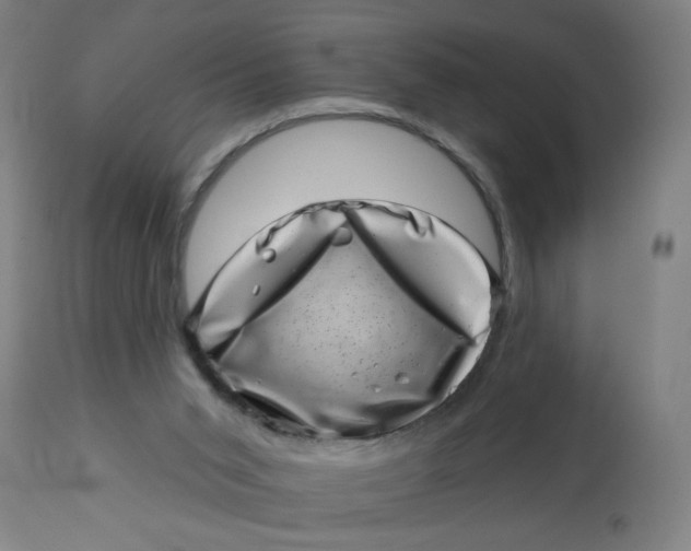 X0000113000015200909171417