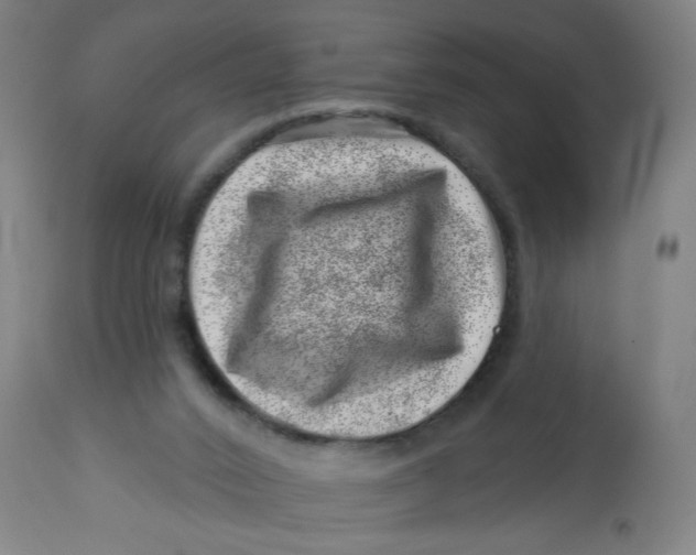 X0000113000016200909171417