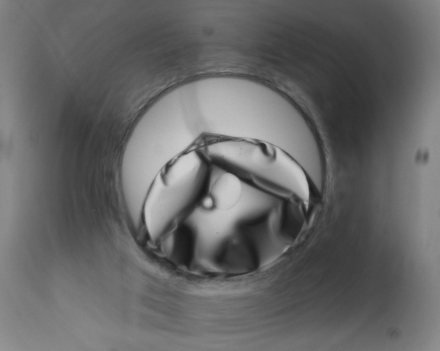 X0000113000017200909171417