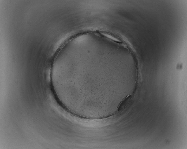 X0000113000019200909171417