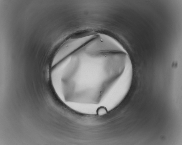 X0000113000020200909171416