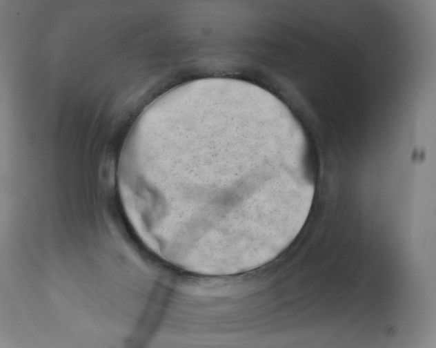 X0000113000021200909171416