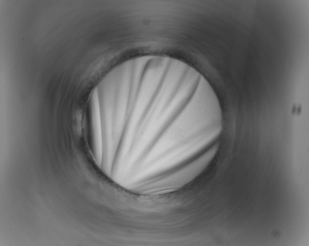 X0000113000022200909171416